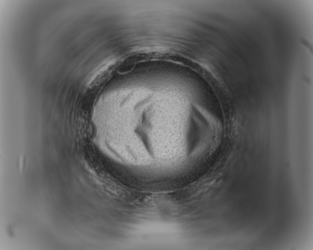 X0000099460967200805231802