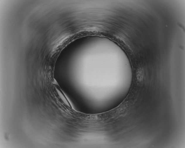 X0000099460968200805231802