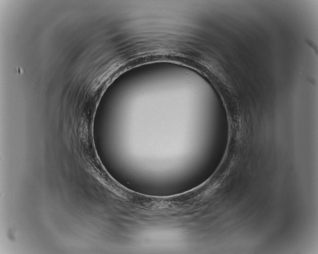 X0000099460969200805231802