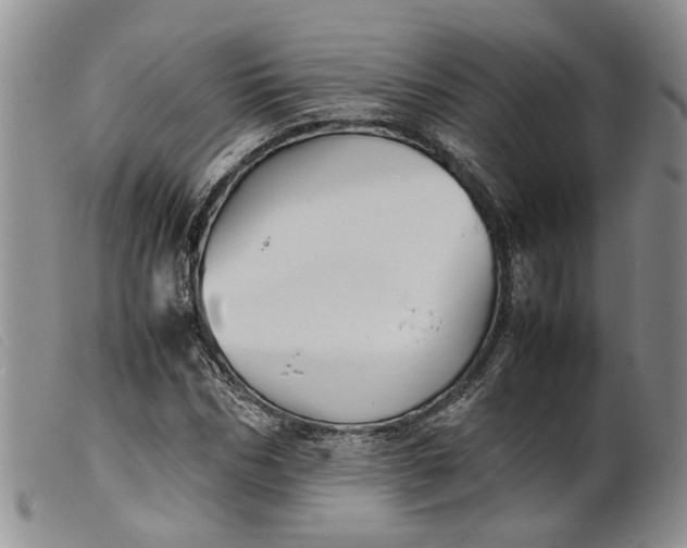 X0000099460970200805231802