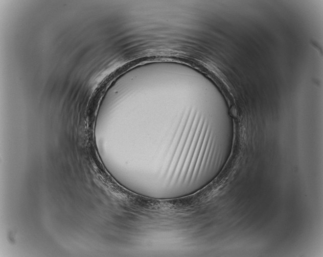 X0000099460971200805231802