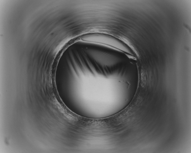 X0000099460972200805231802