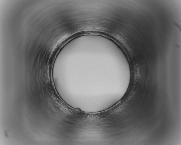 X0000099460974200805231802