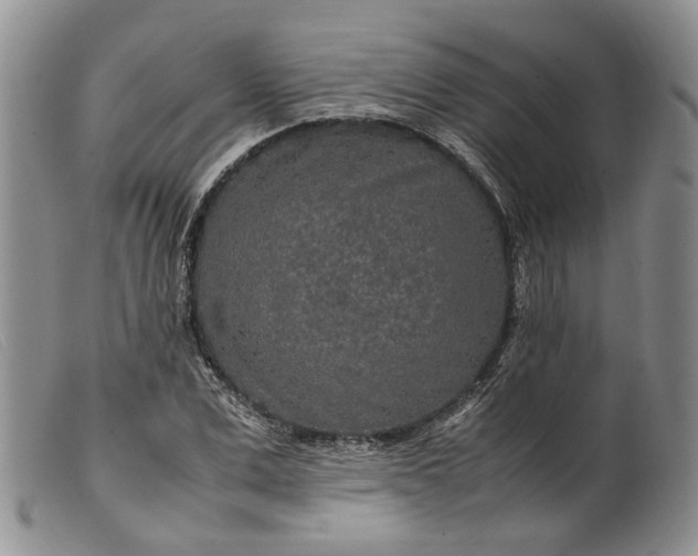 X0000099460975200805231802