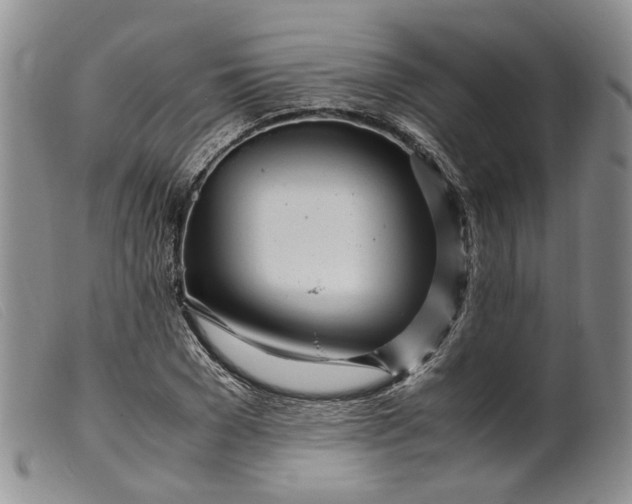 X0000099460977200805231802