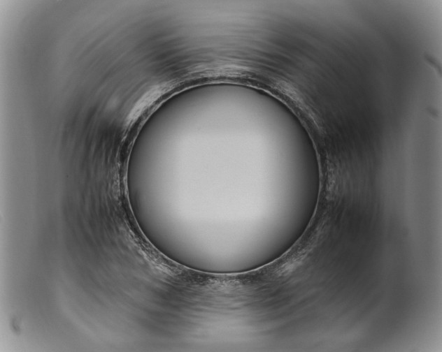 X0000099460978200805231802