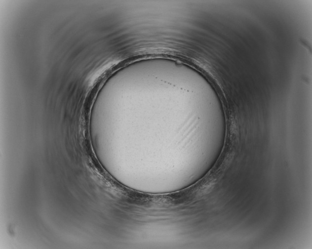 X0000099460979200805231802