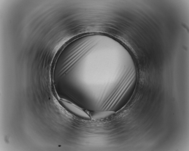 X0000099460980200805231802