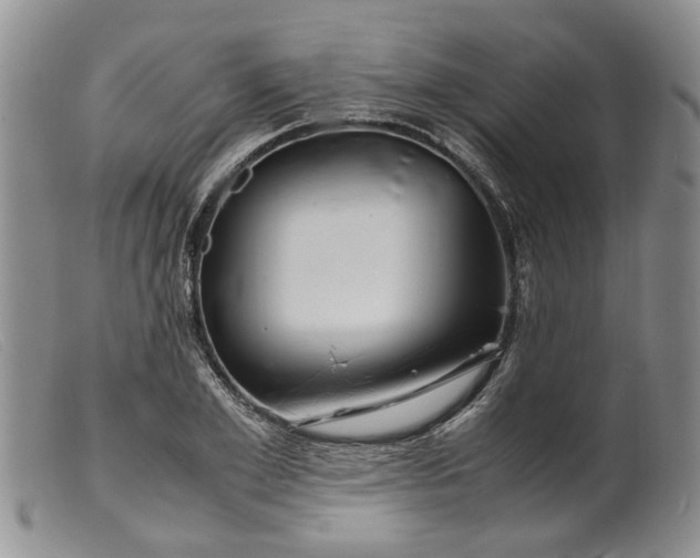 X0000099460981200805231802