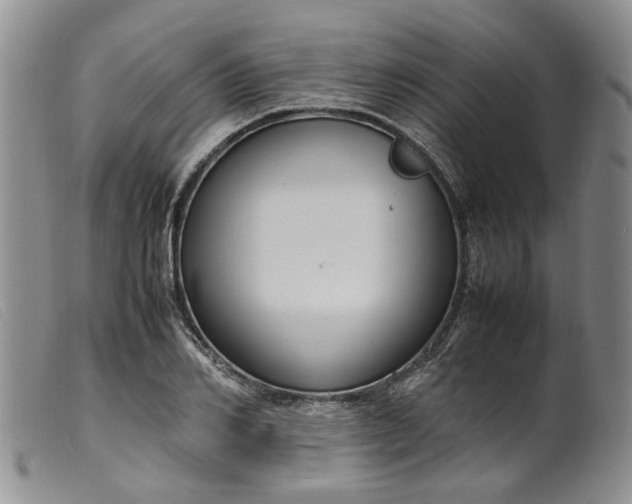 X0000099460982200805231802