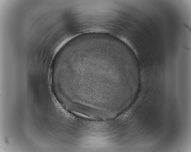 X0000099460983200805231802