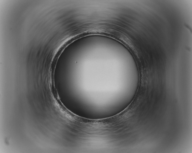 X0000099460984200805231802