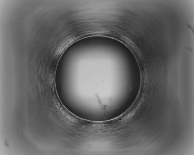 X0000099460985200805231802