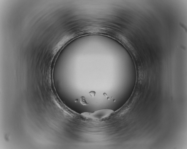 X0000099460986200805231802