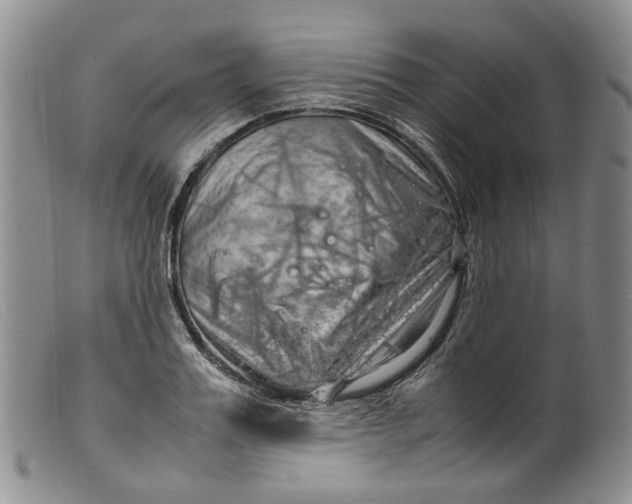 X0000099460987200805231802