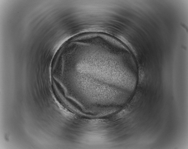 X0000099460988200805231802