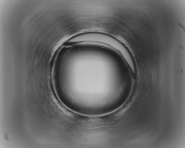 X0000099460989200805231802