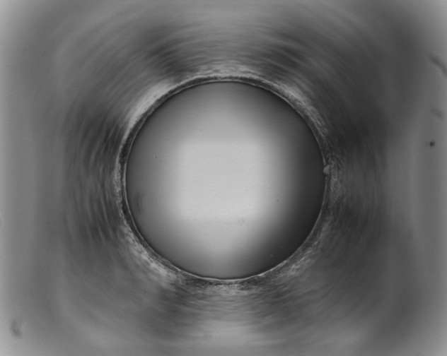 X0000099460990200805231802