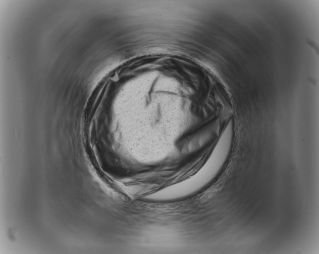 X0000099460991200805231802