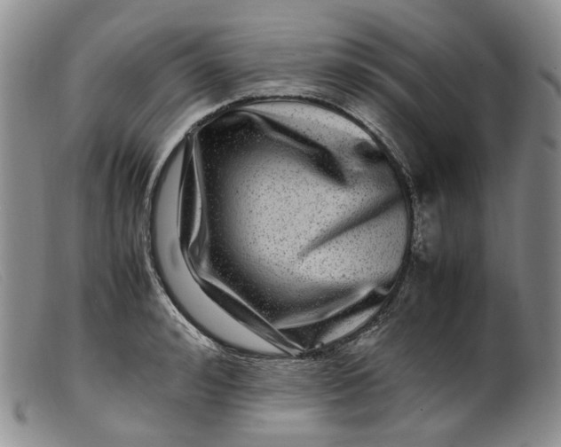 X0000099460992200805231802