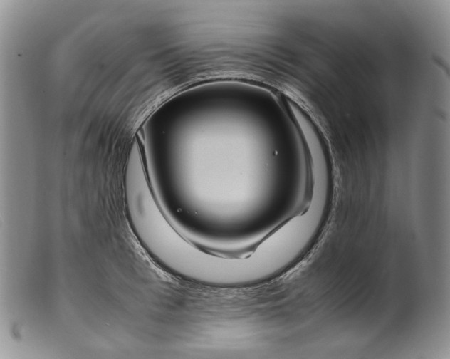 X0000099460993200805231802