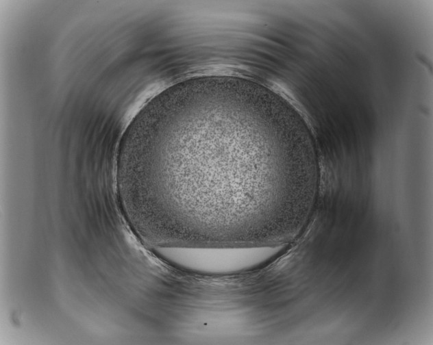 X0000099460994200805231802