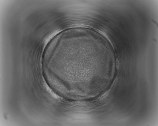 X0000099460995200805231802