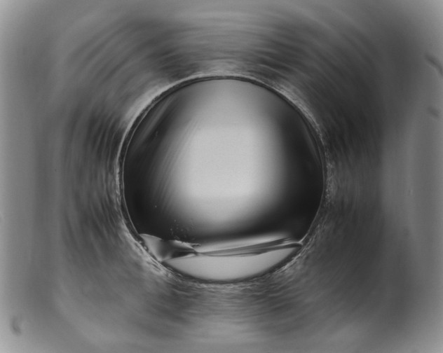 X0000099460996200805231802