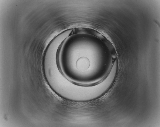 X0000099460997200805231802