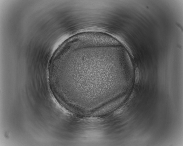 X0000099460998200805231802