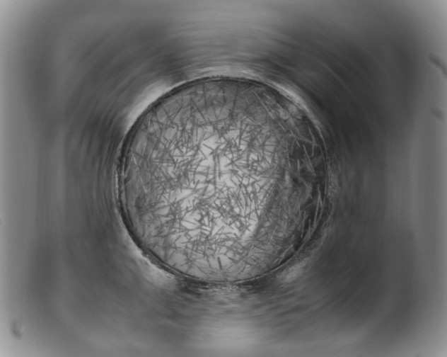 X0000099460999200805231802