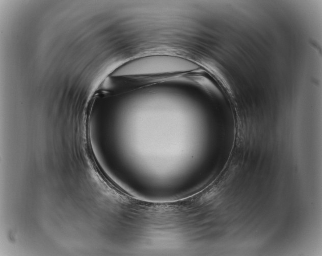 X0000099461000200805231802