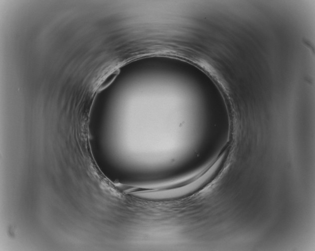 X0000099461001200805231802