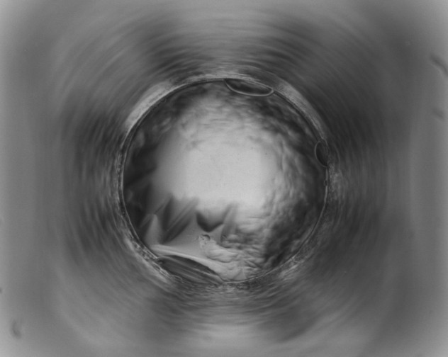 X0000099461002200805231802