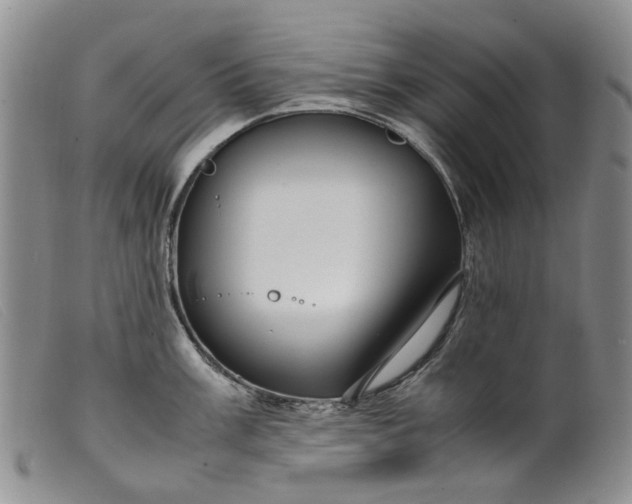 X0000099461003200805231802