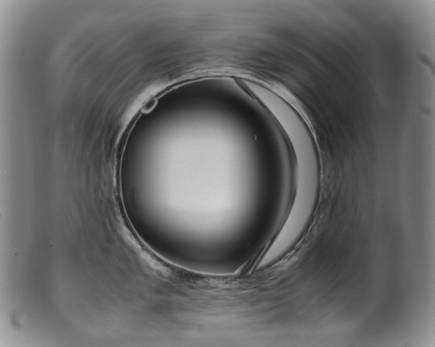 X0000099461005200805231802