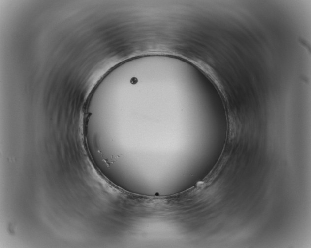 X0000099461006200805231802