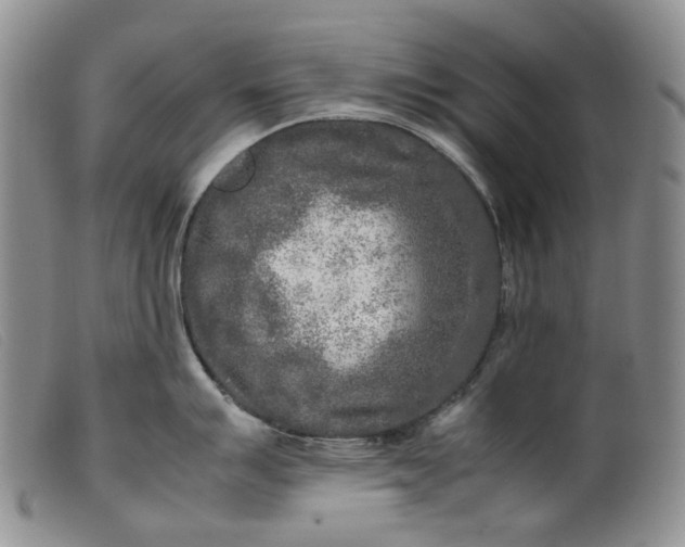 X0000099461007200805231802