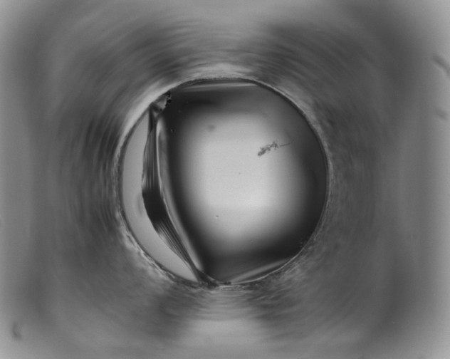 X0000099461008200805231802