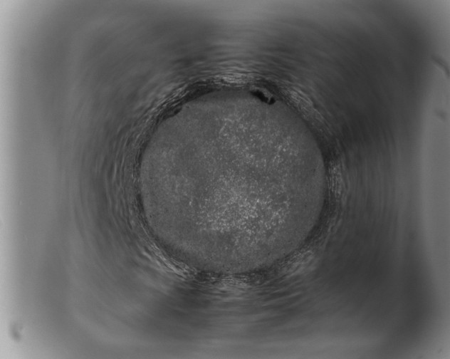 X0000099461009200805231801