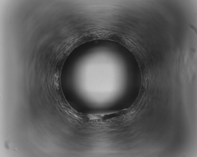 X0000099461010200805231801