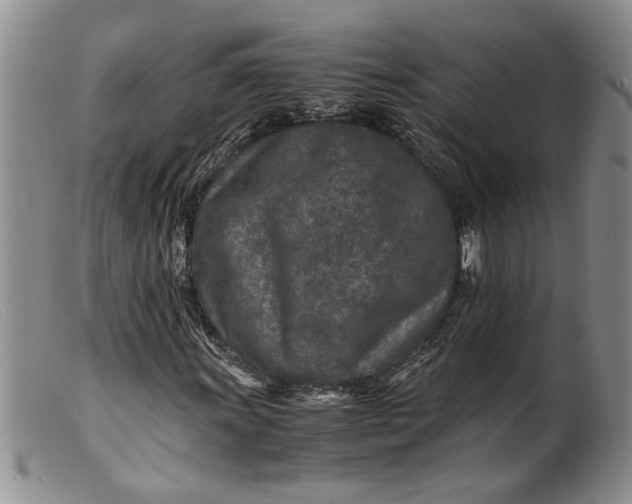 X0000099461011200805231801