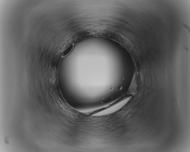 X0000099461012200805231801