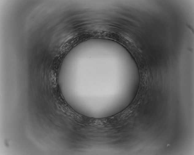 X0000099461013200805231801