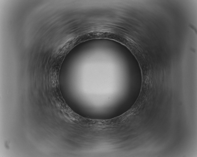 X0000099461014200805231801