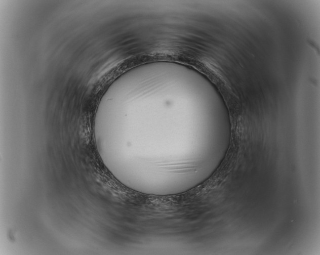 X0000099461015200805231801