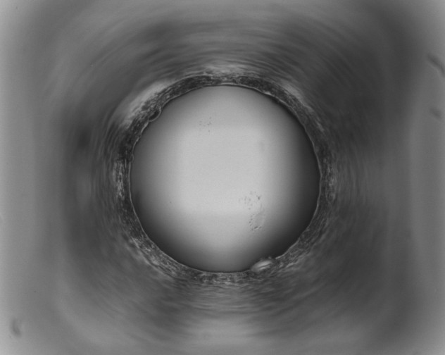 X0000099461016200805231801