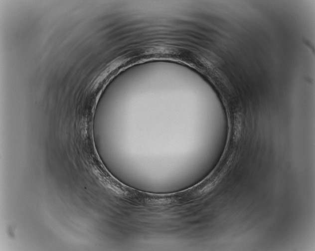 X0000099461017200805231801