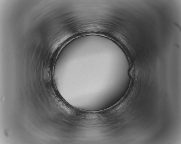 X0000099461018200805231801