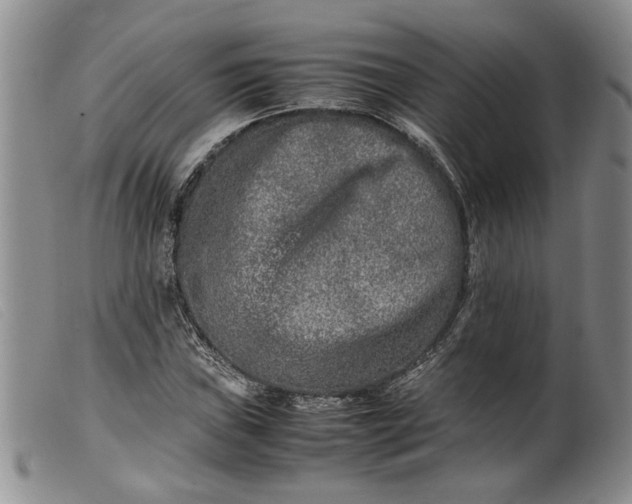 X0000099461019200805231801